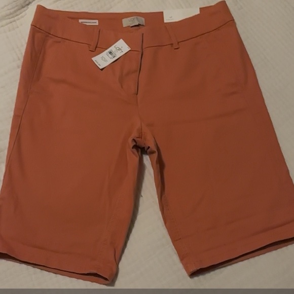 LOFT Bermuda Roll Shorts Size 10p NWT - Picture 1 of 3